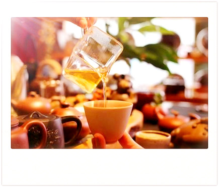 老同志陈香沱：传承百年制茶技艺，品味经典普洱香