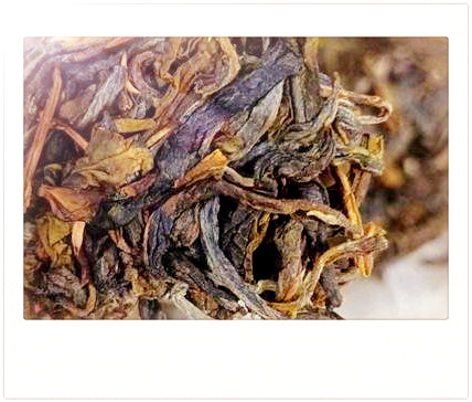 云南安庆红茶的功效、作用和种类