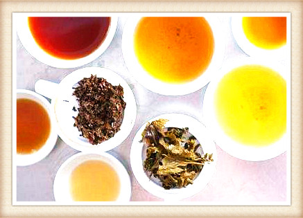 什么马茶业，探索中国茶叶文化：什么马茶业的独特魅力