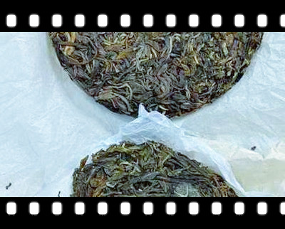 大叶种茶属于什么茶？云南大叶种茶和白龙须的区别及图片