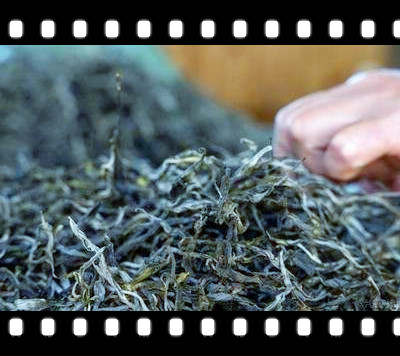 河南都有什么茶叶，探寻河南茶文化：揭秘那些知名的茶叶