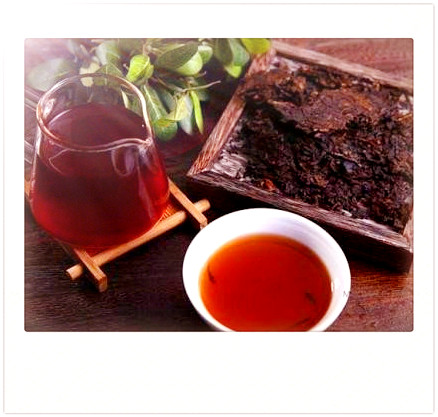 存木香古树滇红茶的功效及洗茶需求
