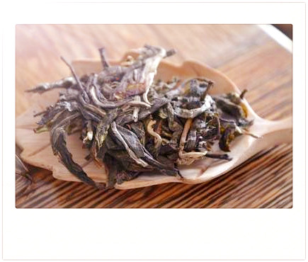 司马茶是什么茶类，揭秘茶叶新品——司马茶，属于哪一类茶？