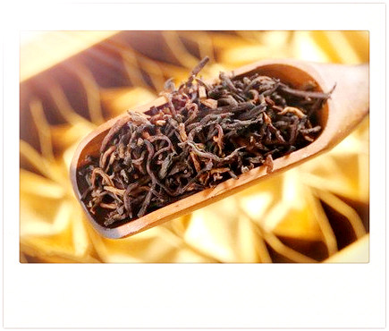 狮韵茶是什么茶类？探究其起源与特点，揭秘上海狮韵文化传播有限公司及狮牌茶叶官网