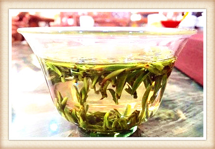 野生红茶有哪些品种，探秘大自然：了解野生红茶的多样品种