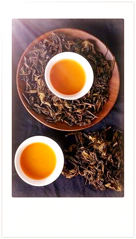 什么茶能做茶砖呢，揭秘：哪些茶叶适合制作茶砖？