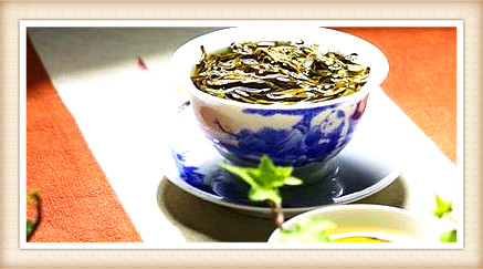 春风茶是什么茶类？详解其品种与类型