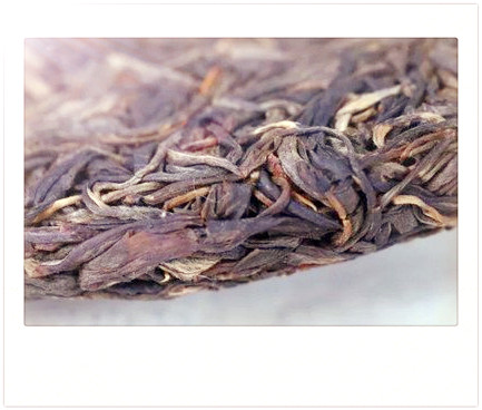 冲天鹤是什么茶叶品种，冲天鹤是哪个茶类？冲天鹤属于什么茶？
