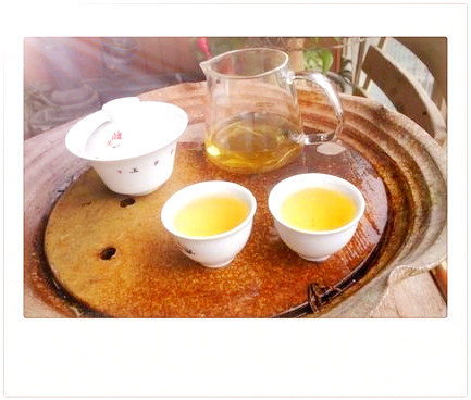 曼松茶是哪里的茶叶品种及产地？
