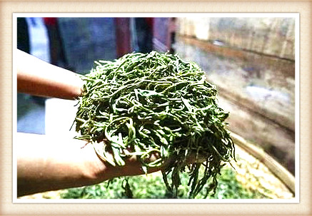 曼松古树茶纯料是什么，口感和特点，2020价格及产地