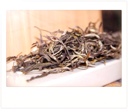 2020年曼松古树茶价格：每公斤多少钱？数量有多少棵？