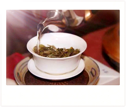 望海茶是什么品种的茶？详解其特点与分类