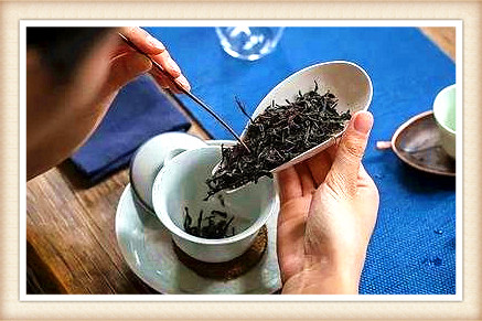 潮州凤凰单丛茶：最出名、喝的茶叶品种