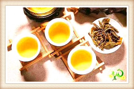古树红茶怎么喝，品味古树红茶：如何冲泡出口感？