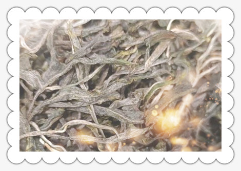 英德红茶有几种香型