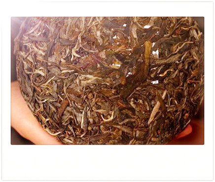 马茶属于什么茶类，解惑：马茶属于哪一类茶？