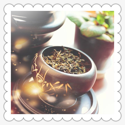 玉茶坊是什么茶种？详解其种类及特点