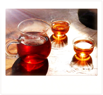 百叠岭茶生态旅游区及有机绿茶价格最近消息