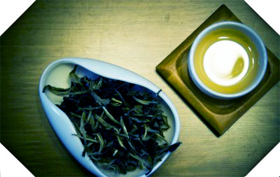 安化芙蓉山茶特点及湖南安化芙蓉山茶业有限责任公司