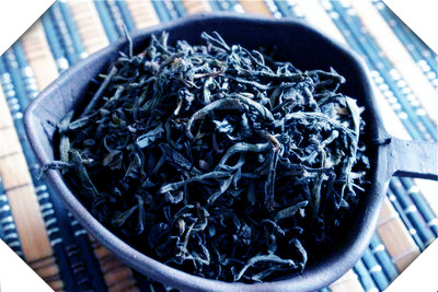 文青茶是什么茶？详解文青茶及其花图片、含义与读音
