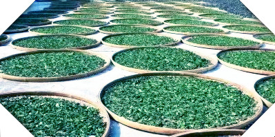 河南有名的红茶品牌及种类