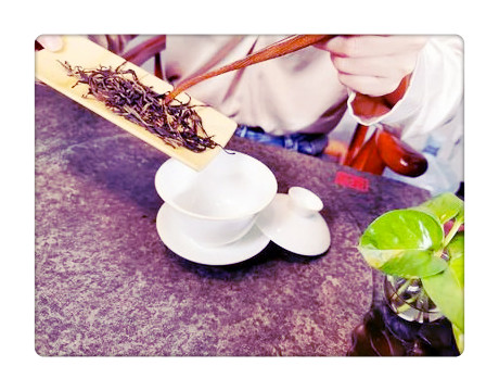 红茶制作原理：利用何种酶进行合成？