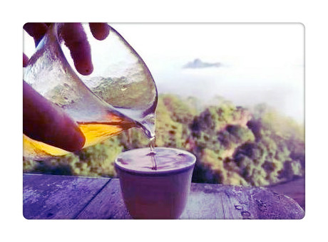 花蜜香红茶的制作工艺、特点与功效