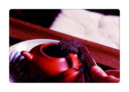 大红炮茶，品尝醇香的大红炮茶，感受传统与现代的交融