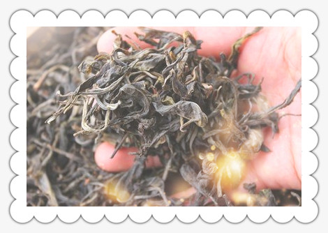 云南曼松古树茶价格表：详细图片与信息一览