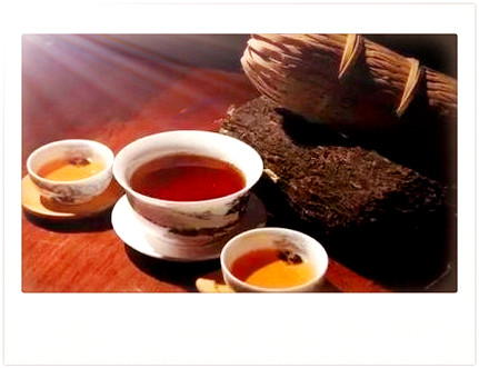藏茶，品味健生活：探索藏茶的魅力与益处