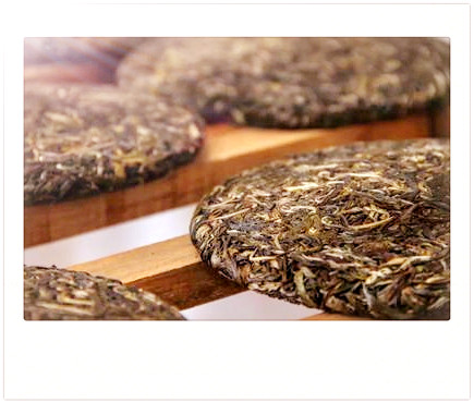 中国茗茶野生红茶及其品种