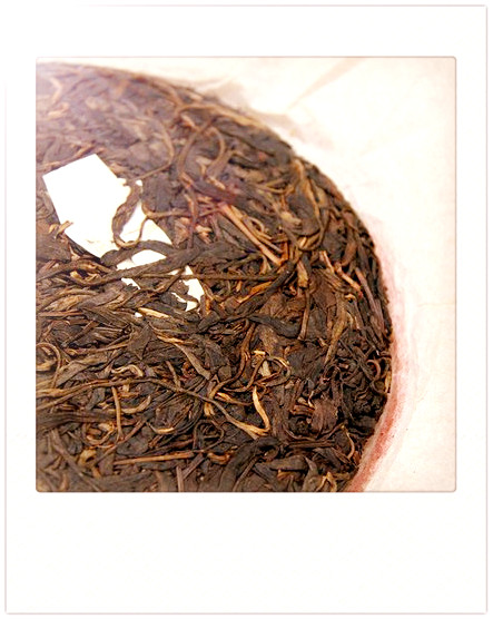 绿春：茶类介绍与植物特性解析