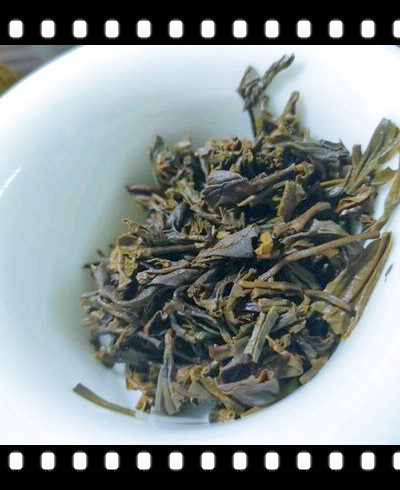 老紫泥泡什么茶更好？探讨最适合的老紫泥冲泡茶叶种类