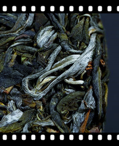 中国茗茶野生红茶及其品种
