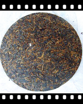 红茶里回是哪种茶叶品种？