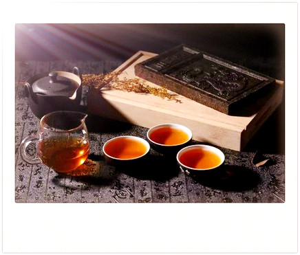 曼松古树茶特征是什么？