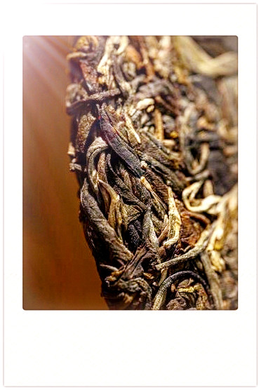 武夷山古树红茶价格及图片，探寻古老韵味：武夷山古树红茶的价格与图片一览