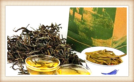 河北省产什么茶叶？种类、产量及主要品种全面解析