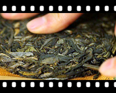 云南普洱茶曼松，探索云南普洱茶的魅力：品味曼松的独特韵味
