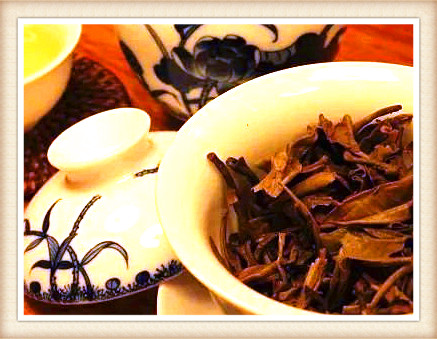 茶是什么意思？详解茶、茶人与相关茶叶品种