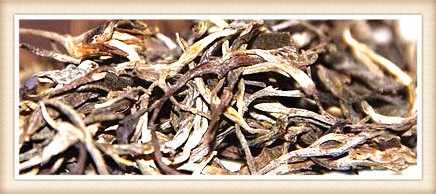 安化茶：茶类、类型、功效及种类全解