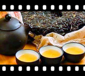 古树金芽普洱茶价格，《探秘古树金芽普洱茶的价格，了解一下它的价值所在》