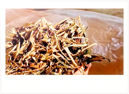 四川特产什么茶最出名？探寻四川更具特色的茶叶品种