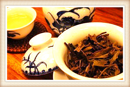 喝什么茶去湿热,调理肠胃，去湿热、调理肠胃，该喝哪种茶？
