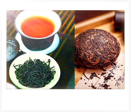 红茶暖性还是凉性茶