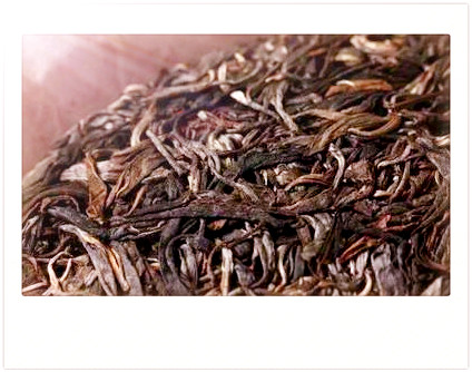 什么茶香甜好喝又便宜，寻找性价比高的茶饮：哪种茶叶香甜好喝且价格实？