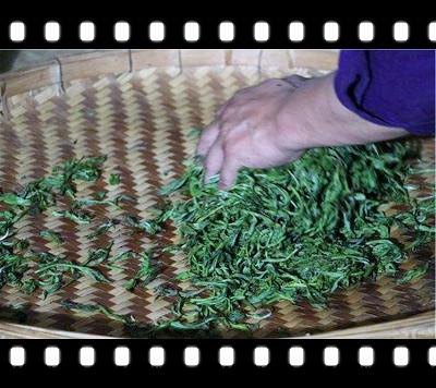 探究河南盛产的茶叶品种及其品牌