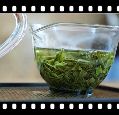 红茶和绿茶：儿茶素含量的显著差异及原因探究