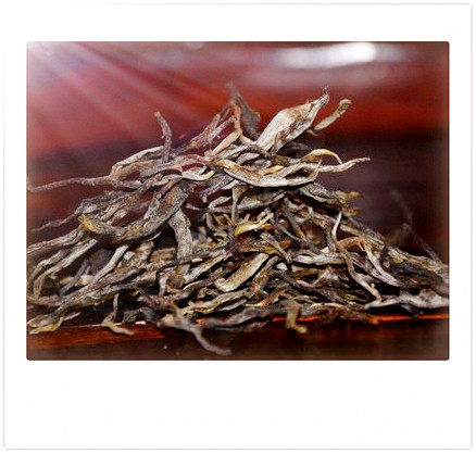 卷曲型的绿茶是什么茶叶？品种、名字与分类全解析