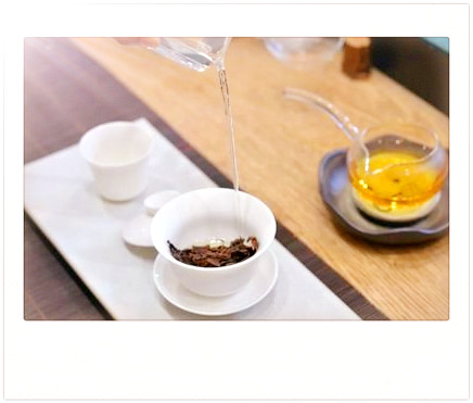 小浓香铁观音属于什么茶，揭秘茶叶品种：了解小浓香铁观音的类别与特点